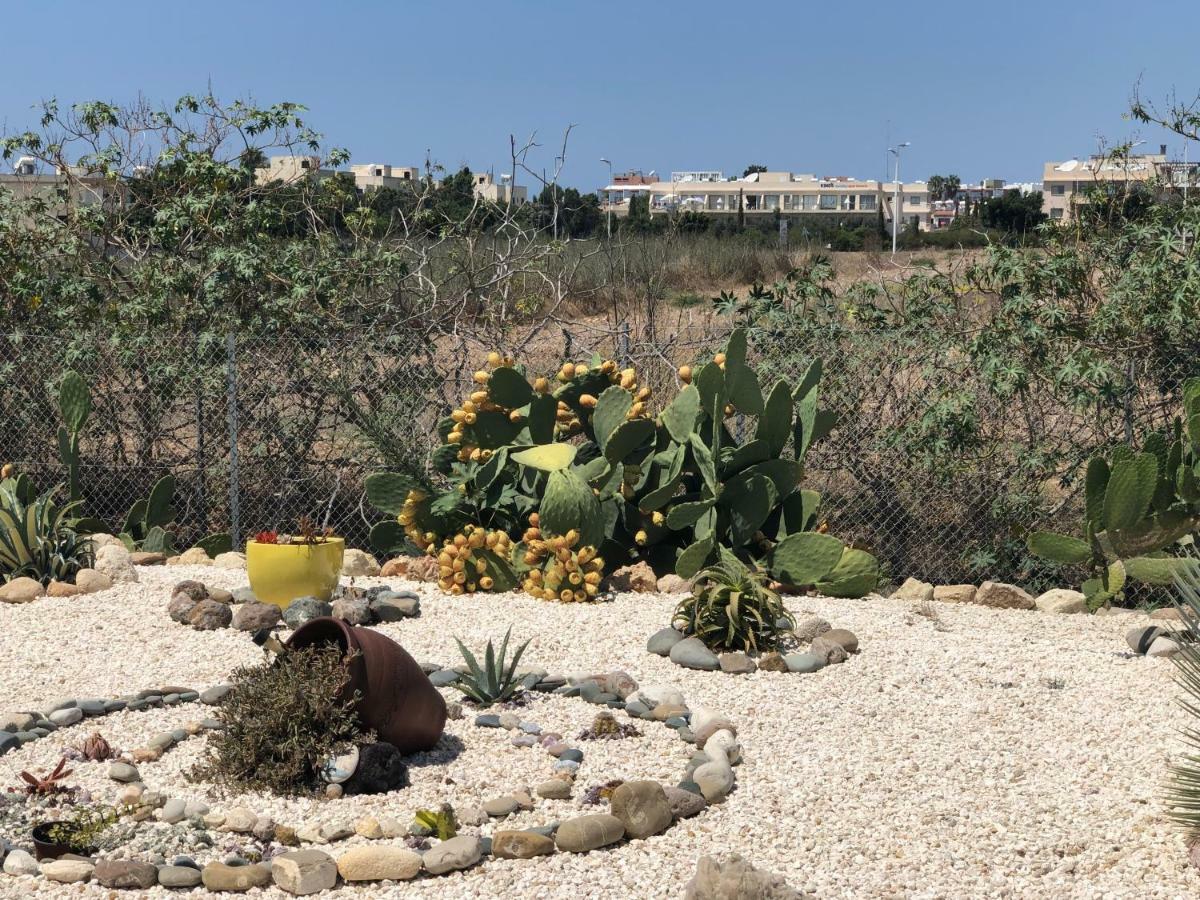 Royal Seacrest Apartment Paphos Bagian luar foto